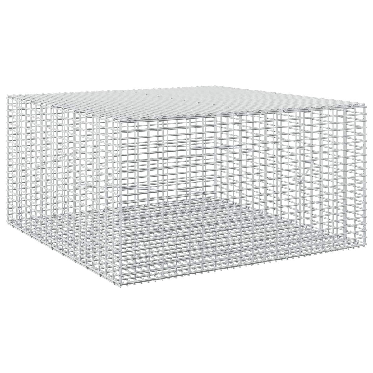 Γκαμπιόν με σύρμα 5 mm και πλέγμα 5x2,5 cm 100x100x50 εκ - Pakobazaar