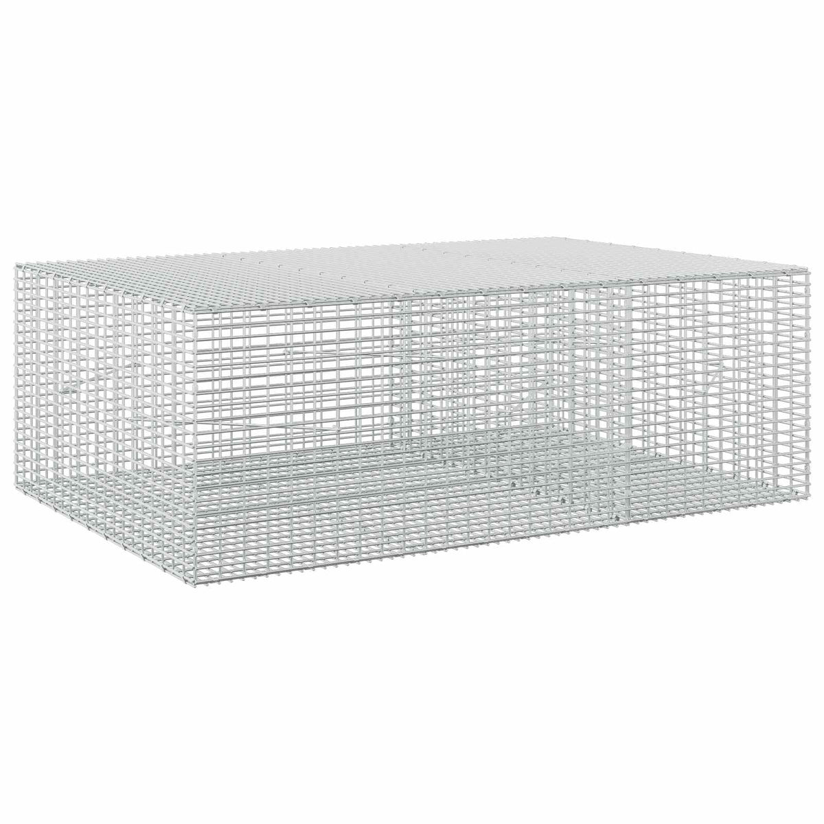 Γκαμπιόν με σύρμα 5 mm και πλέγμα 5x2,5 cm 150x100x50 εκ - Pakobazaar