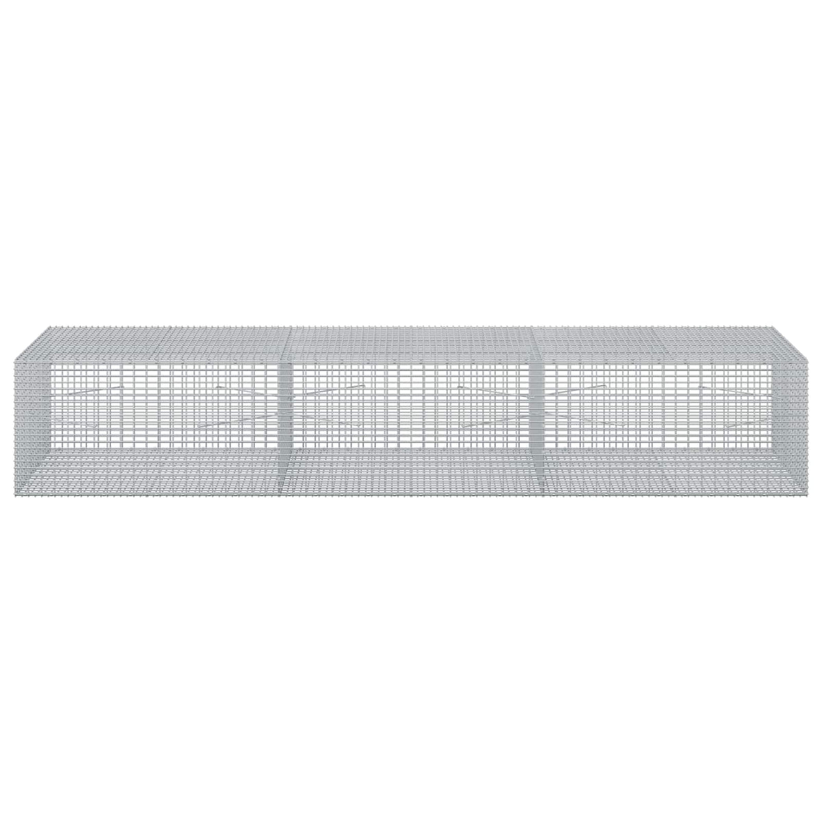 Γκαμπιόν με σύρμα 5 mm και πλέγμα 5x2,5 cm 300x100x50 εκ - Pakobazaar