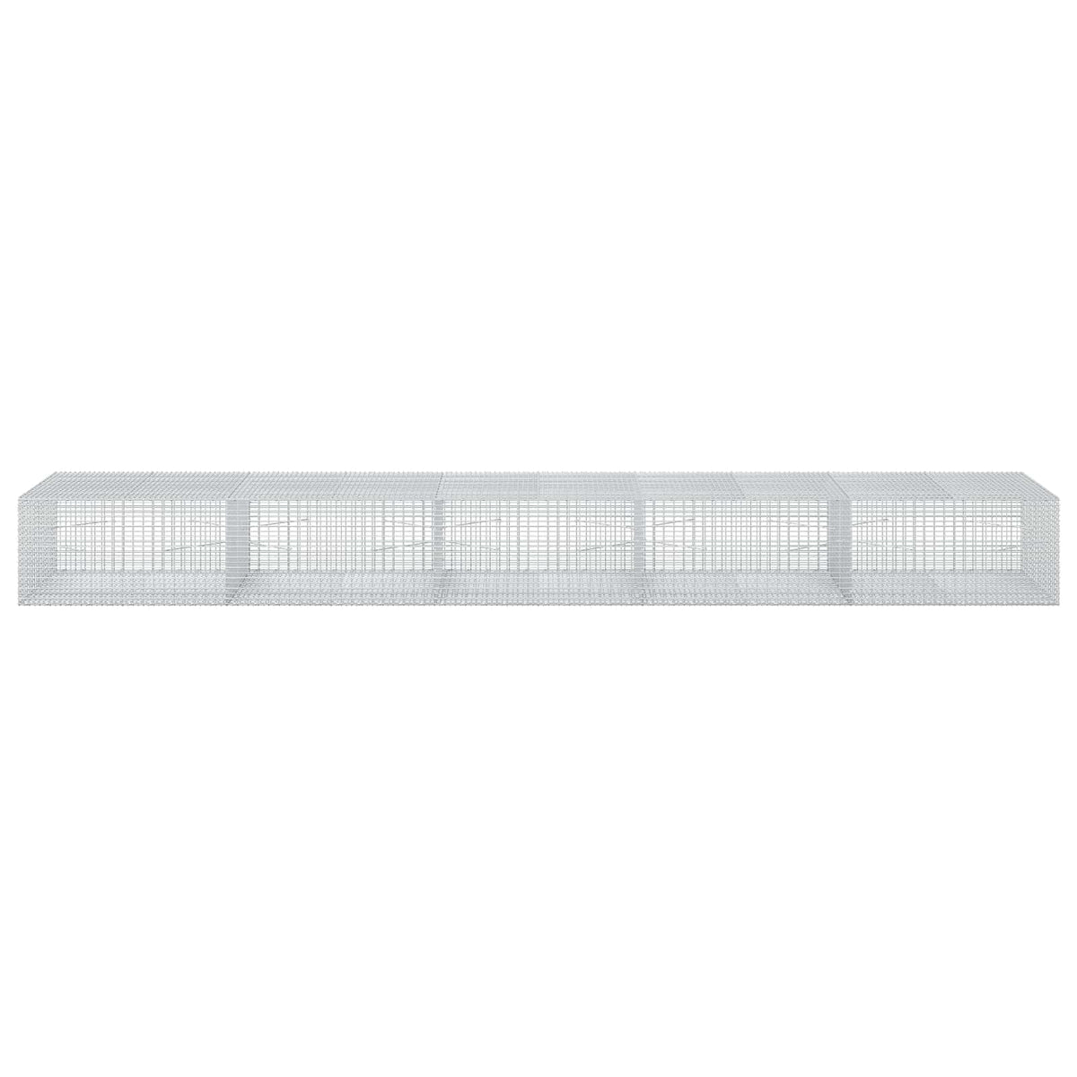 Γκαμπιόν με σύρμα 5 mm και πλέγμα 5x2,5 cm 500x100x50 εκ - Pakobazaar
