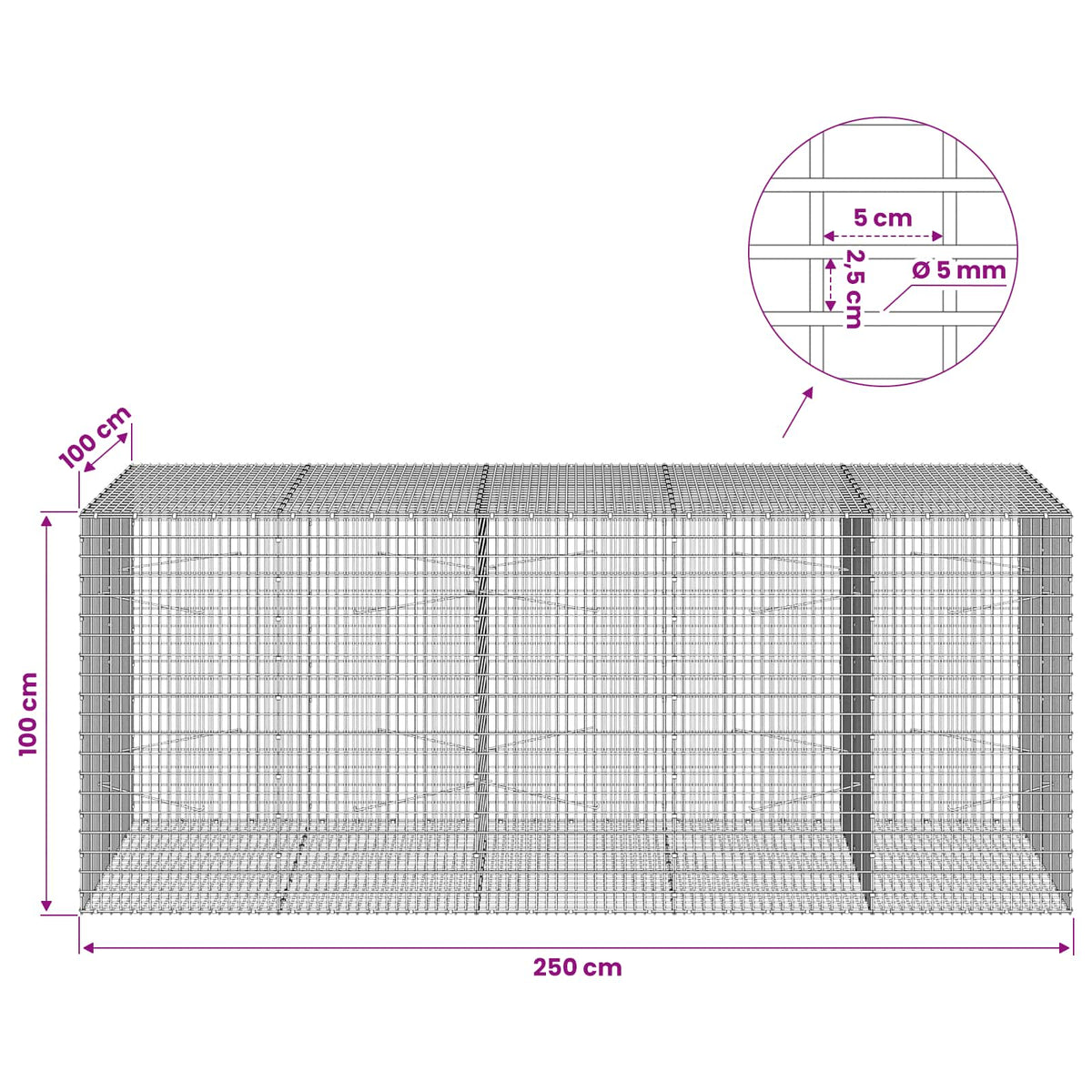Γκαμπιόν με σύρμα 5 mm και πλέγμα 5x2,5 cm 250x100x100 εκ. - Pakobazaar