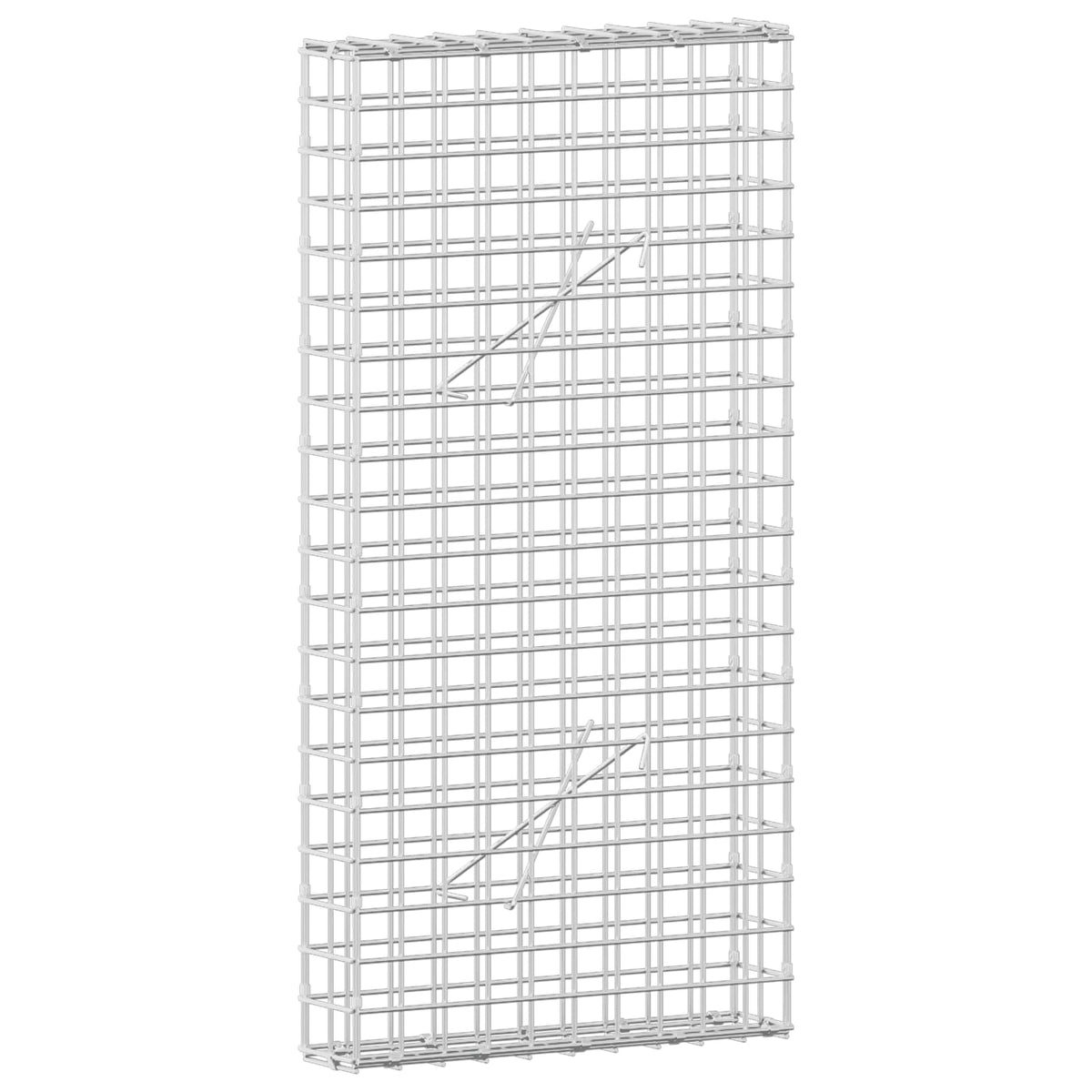 Γκαμπιόν με σύρμα 5 mm και πλέγμα 5x5 cm 50x10x100 εκ