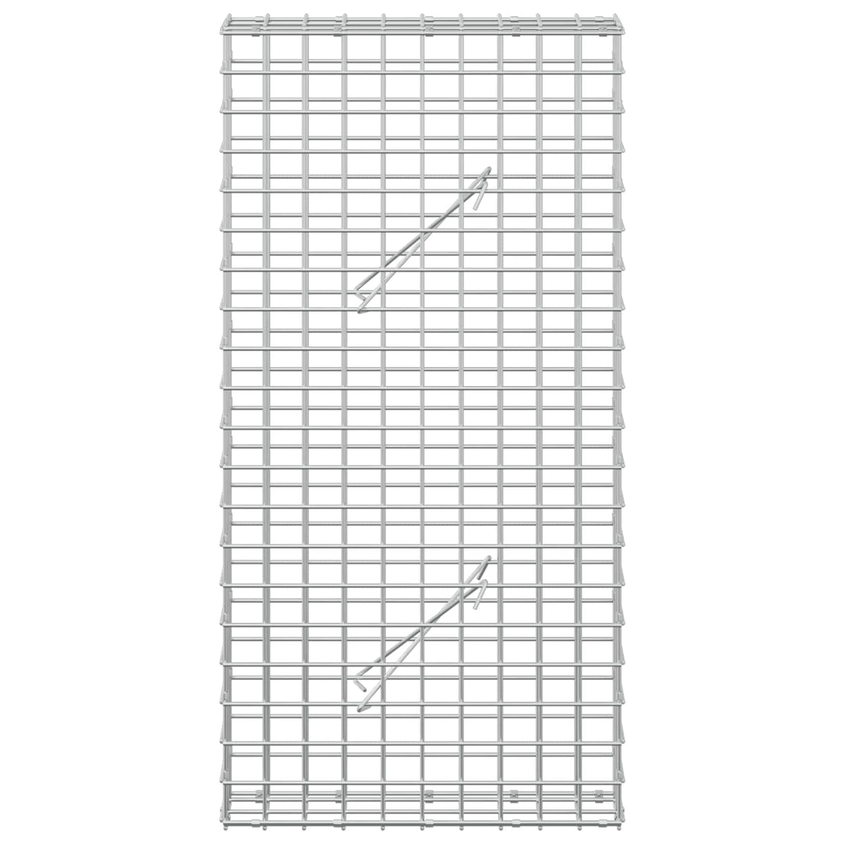 Γκαμπιόν με σύρμα 5 mm και πλέγμα 5x5 cm 50x10x100 εκ