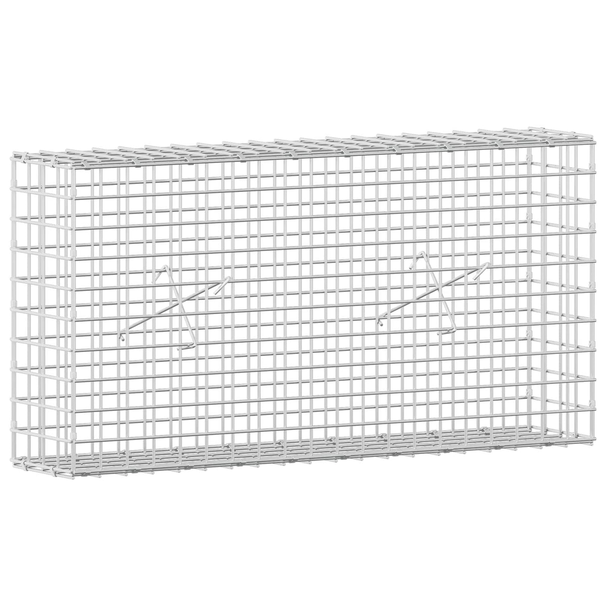 Γκαμπιόν με σύρμα 5 mm και πλέγμα 5x5 cm 100x20x50 εκ - Pakobazaar