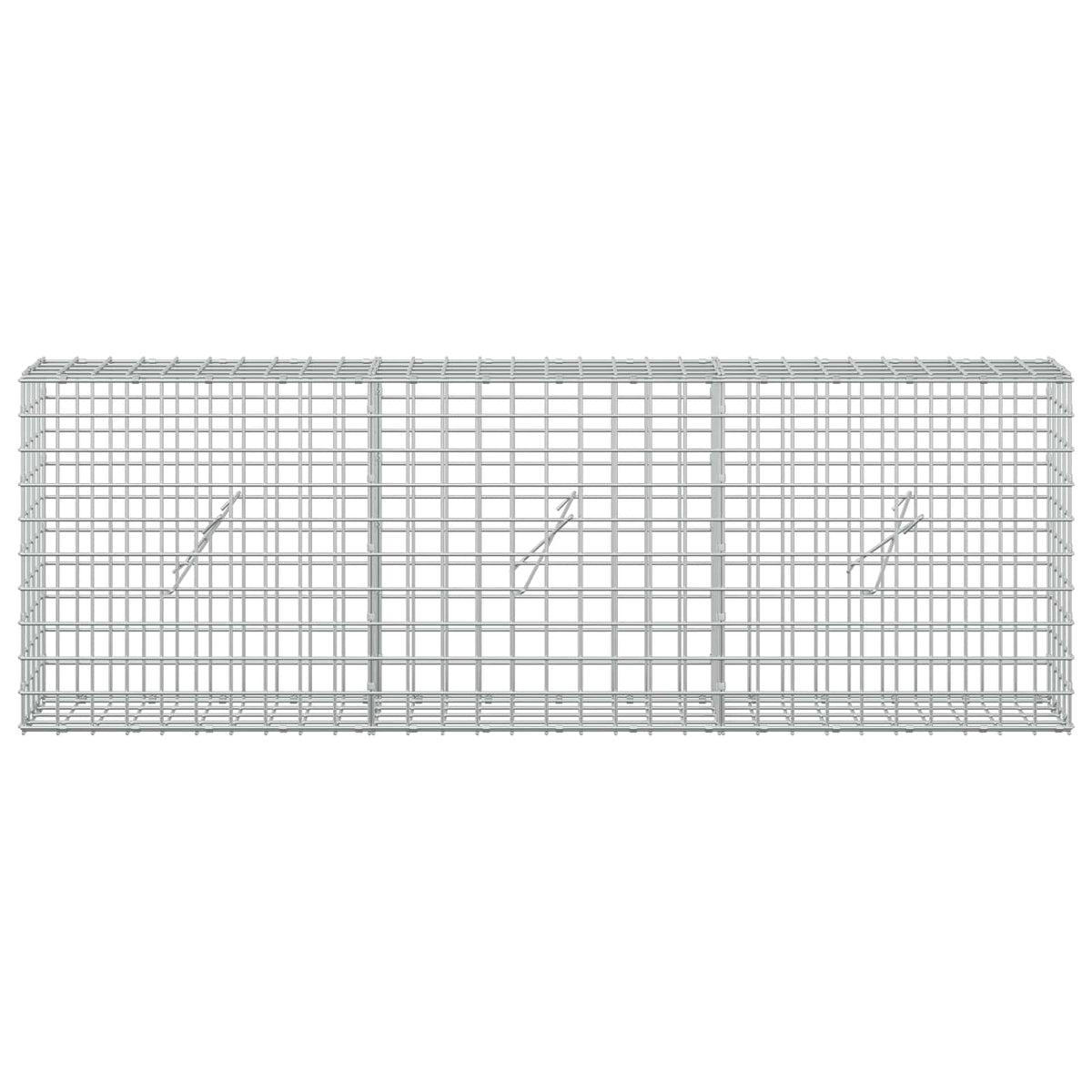Γκαμπιόν με σύρμα 5 mm και πλέγμα 5x5 cm 150x20x50 εκ - Pakobazaar