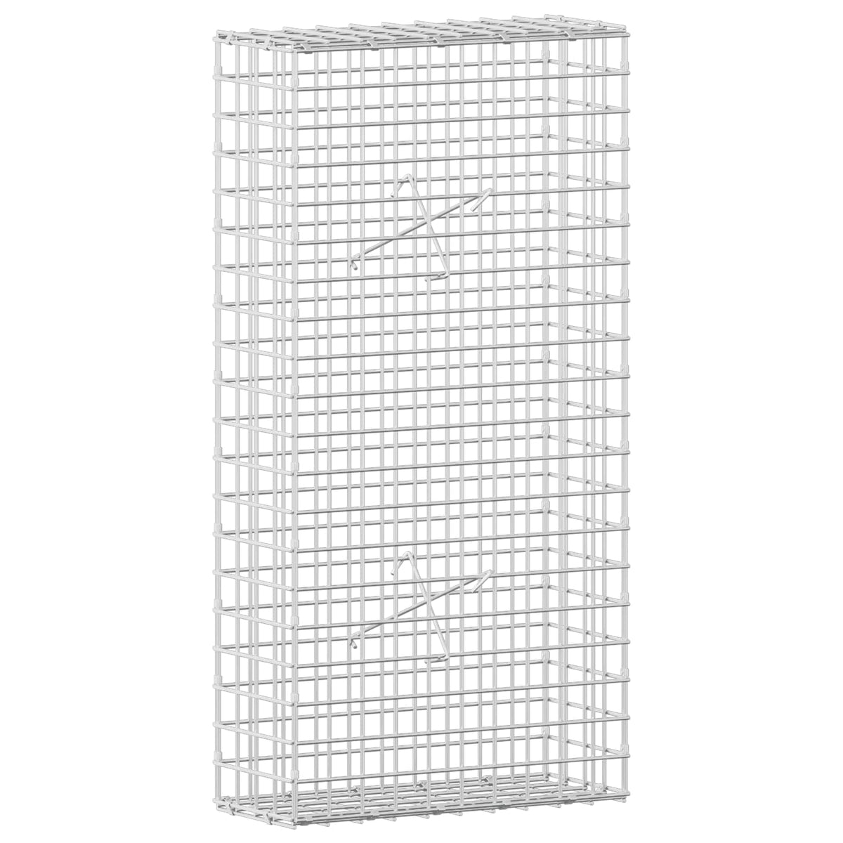 Γκαμπιόν με σύρμα 5 mm και πλέγμα 5x5 cm 50x20x100 εκ - Pakobazaar