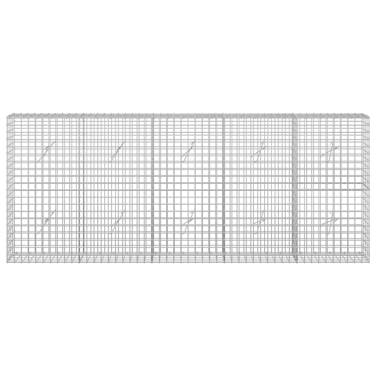 Γκαμπιόν με σύρμα 5 mm και πλέγμα 5x5 cm 250x20x100 εκ