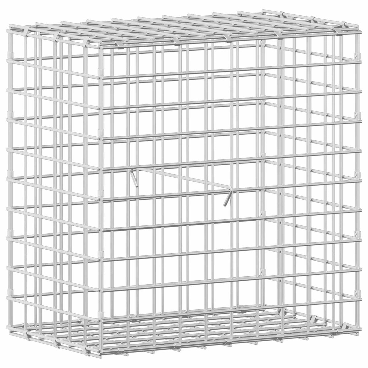 Γκαμπιόν με σύρμα 5 mm και πλέγμα 5x5 cm 50x30x50 εκ. - Pakobazaar