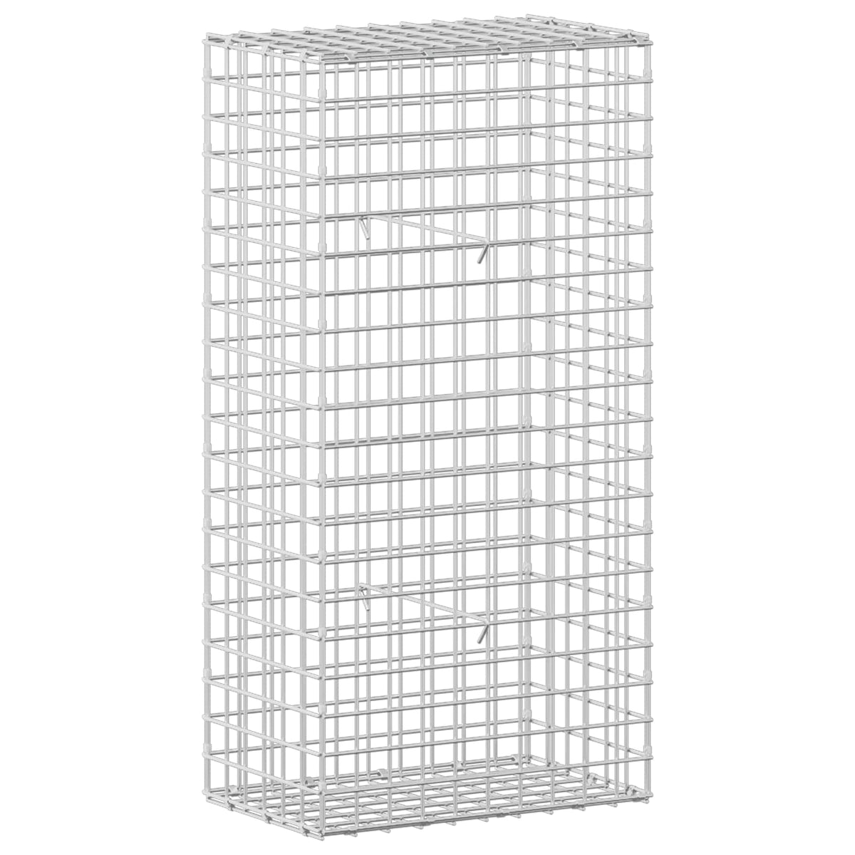 Γκαμπιόν με σύρμα 5 mm και πλέγμα 5x5 cm 50x30x100 εκ - Pakobazaar