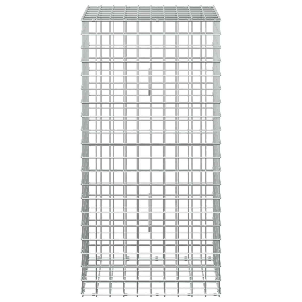 Γκαμπιόν με σύρμα 5 mm και πλέγμα 5x5 cm 50x30x100 εκ - Pakobazaar