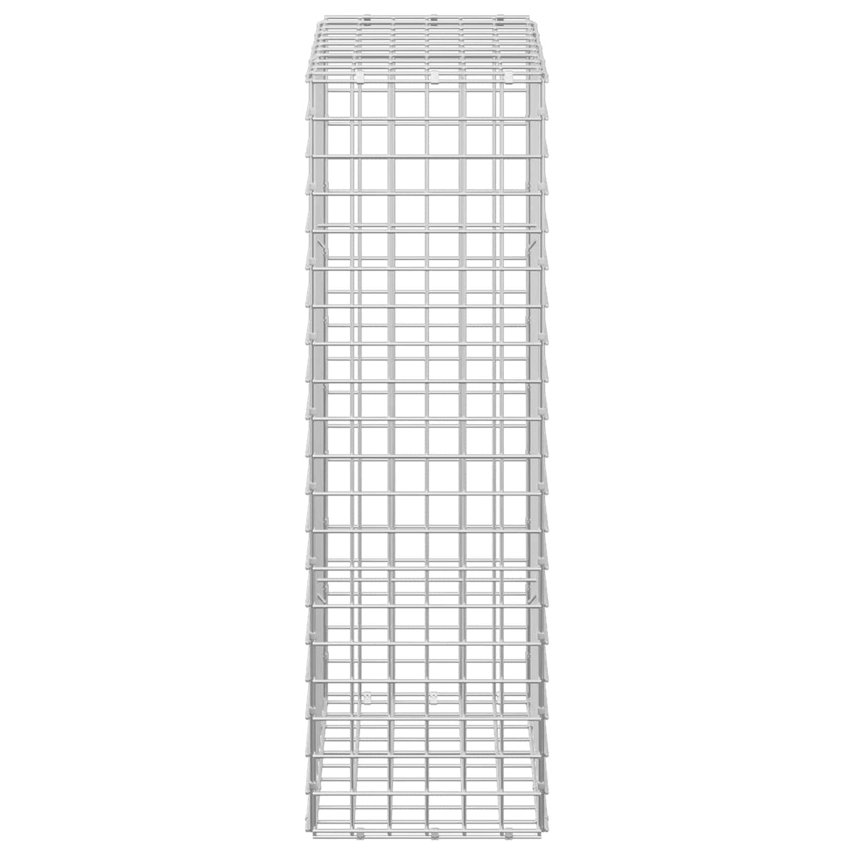 Γκαμπιόν με σύρμα 5 mm και πλέγμα 5x5 cm 50x30x100 εκ - Pakobazaar