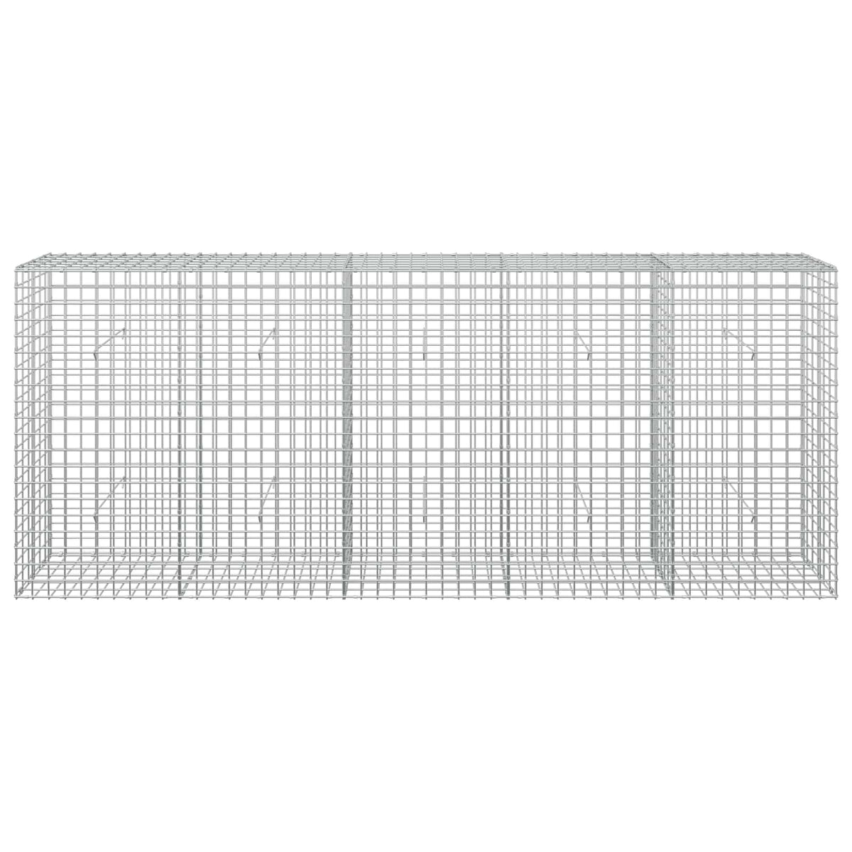 Γκαμπιόν με σύρμα 5 mm και πλέγμα 5x5 cm 250x30x100 εκ - Pakobazaar