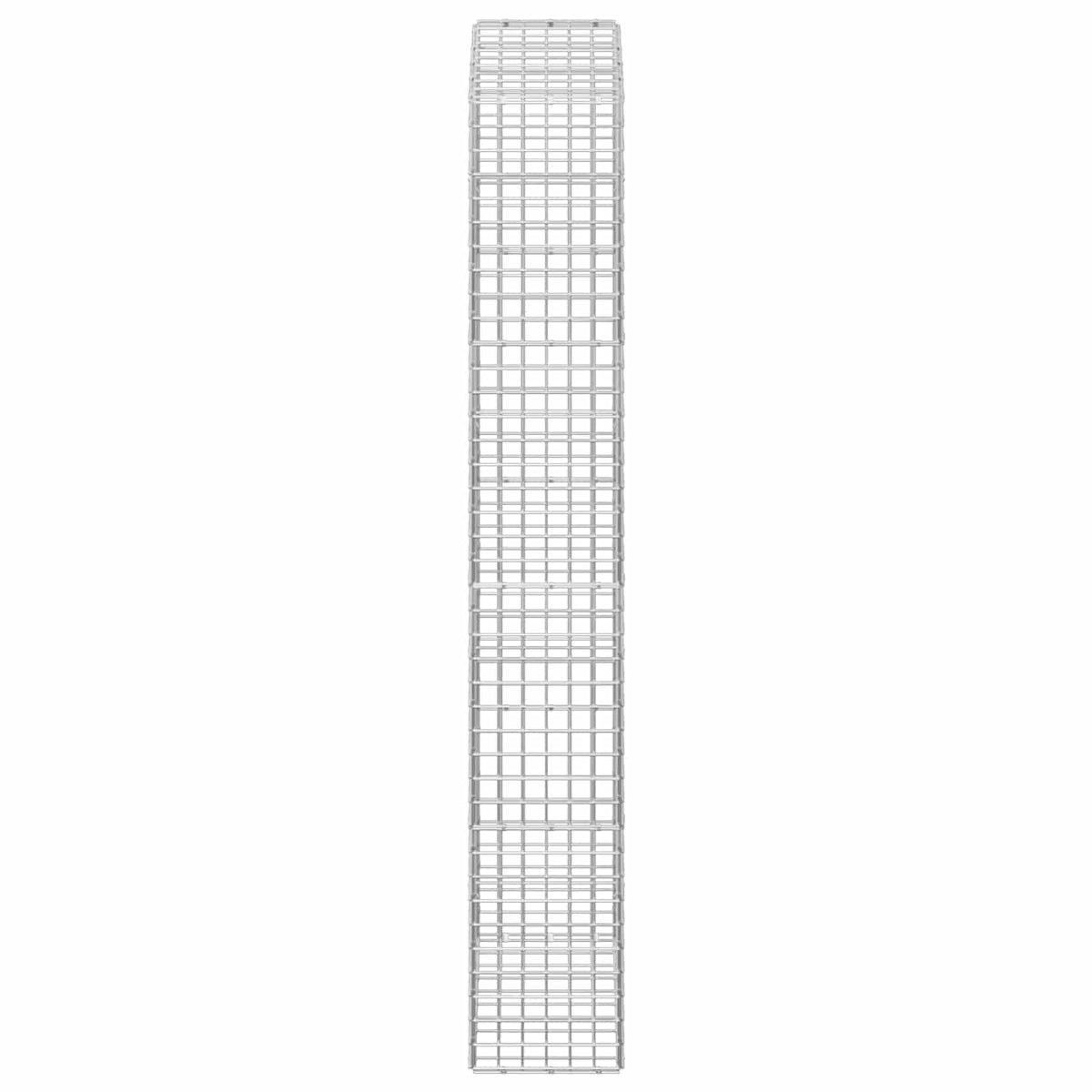 Γκαμπιόν με σύρμα 5 mm και πλέγμα 5x5 cm 50x30x200 εκ