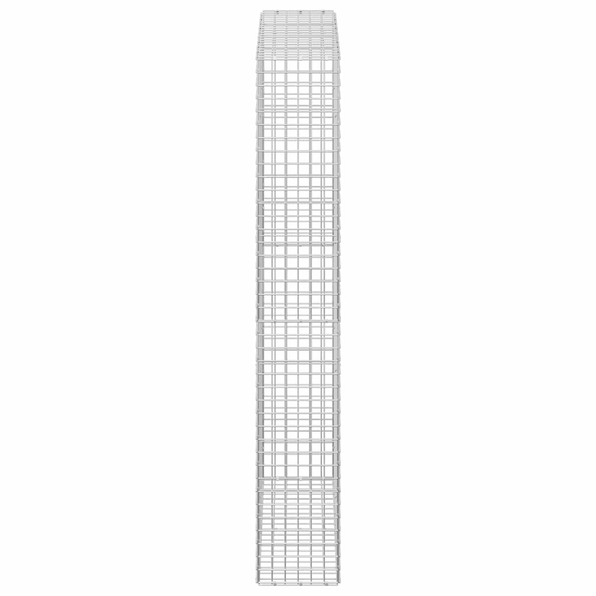 Γκαμπιόν με σύρμα 5 mm και πλέγμα 5x5 cm 100x30x200 εκ. - Pakobazaar