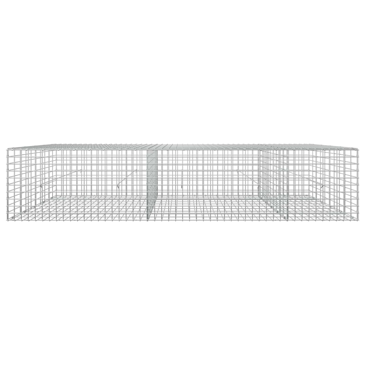 Γκαμπιόν με σύρμα 5 mm και πλέγμα 5x5 cm 250x50x50 εκ