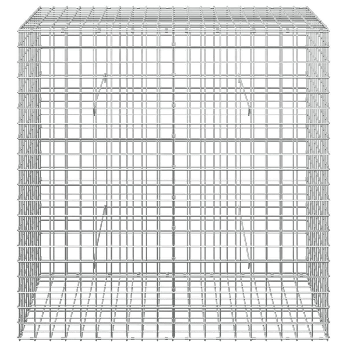 Γκαμπιόν με σύρμα 5 mm και πλέγμα 5x5 cm 100x50x100 εκ