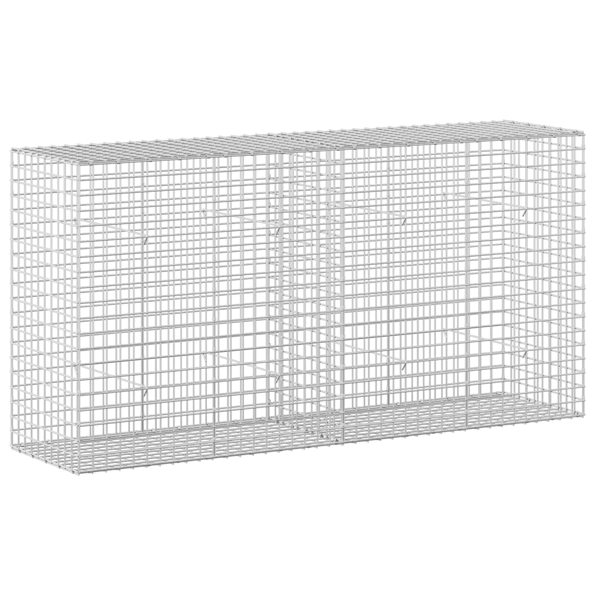 Γκαμπιόν με σύρμα 5 mm και πλέγμα 5x5 cm 200x50x100 εκ - Pakobazaar
