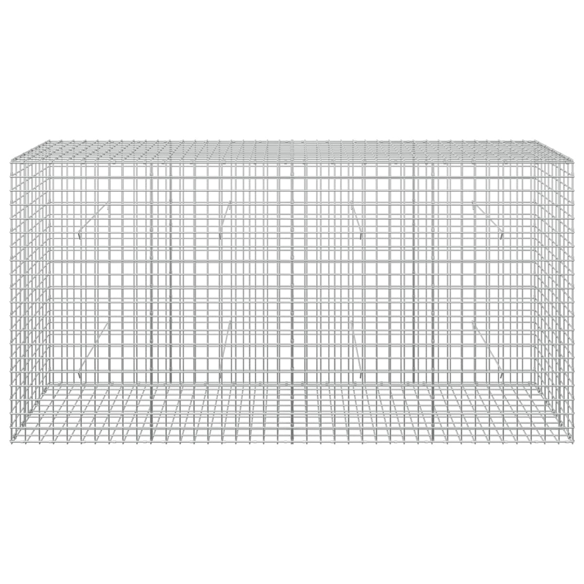 Γκαμπιόν με σύρμα 5 mm και πλέγμα 5x5 cm 200x50x100 εκ - Pakobazaar