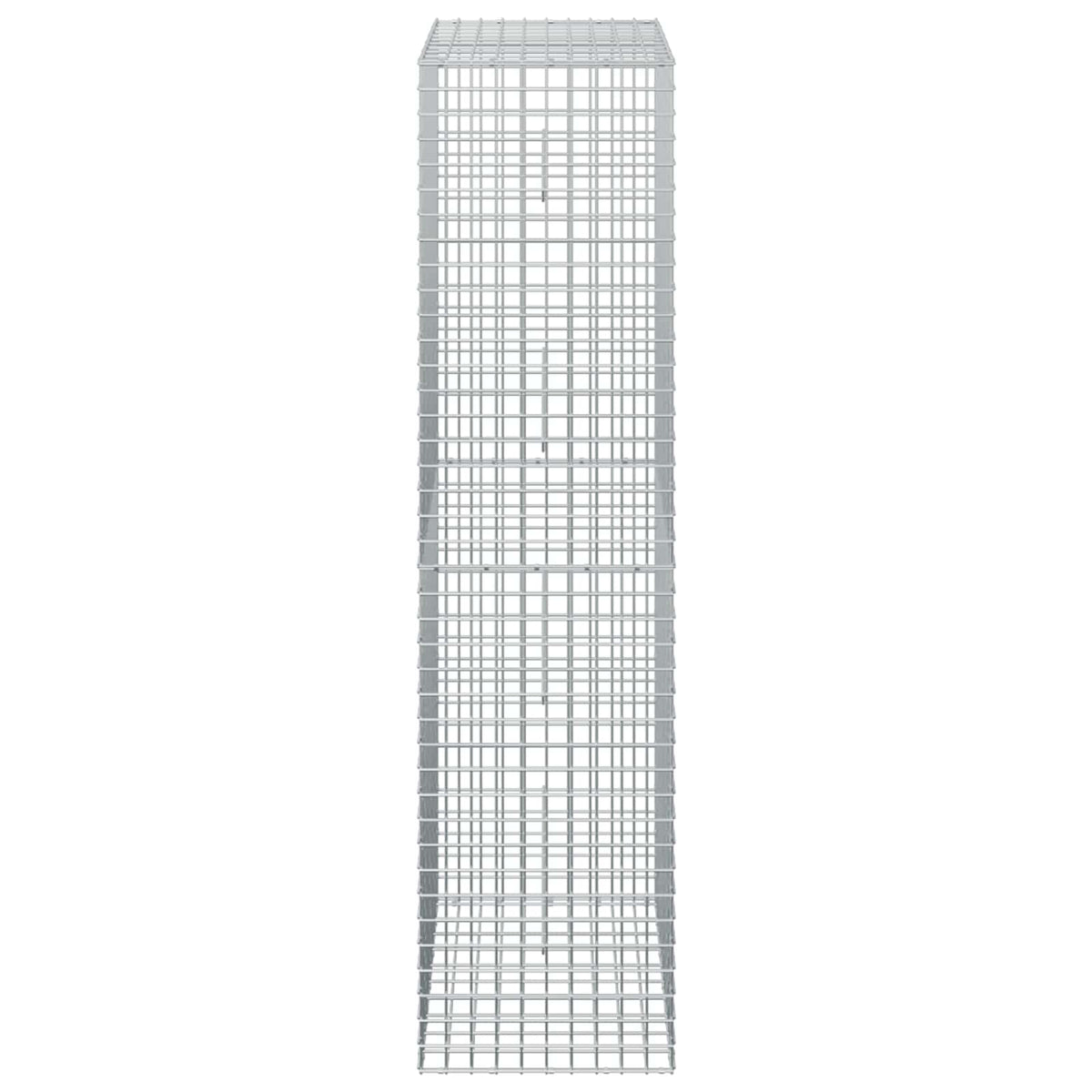 Γκαμπιόν με σύρμα 5 mm και πλέγμα 5x5 cm 50x50x200 εκ - Pakobazaar