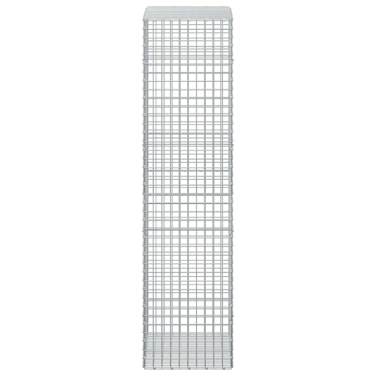 Γκαμπιόν με σύρμα 5 mm και πλέγμα 5x5 cm 100x50x200 cm - Pakobazaar
