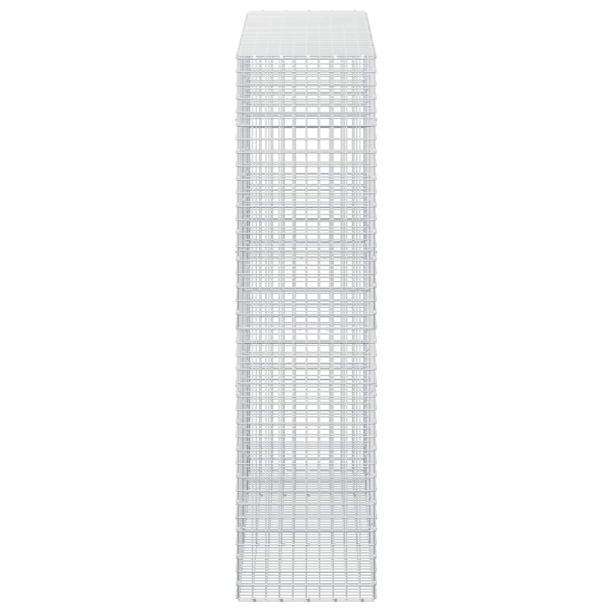 Γκαμπιόν με σύρμα 5 mm και πλέγμα 5x5 cm 250x50x200 εκ.
