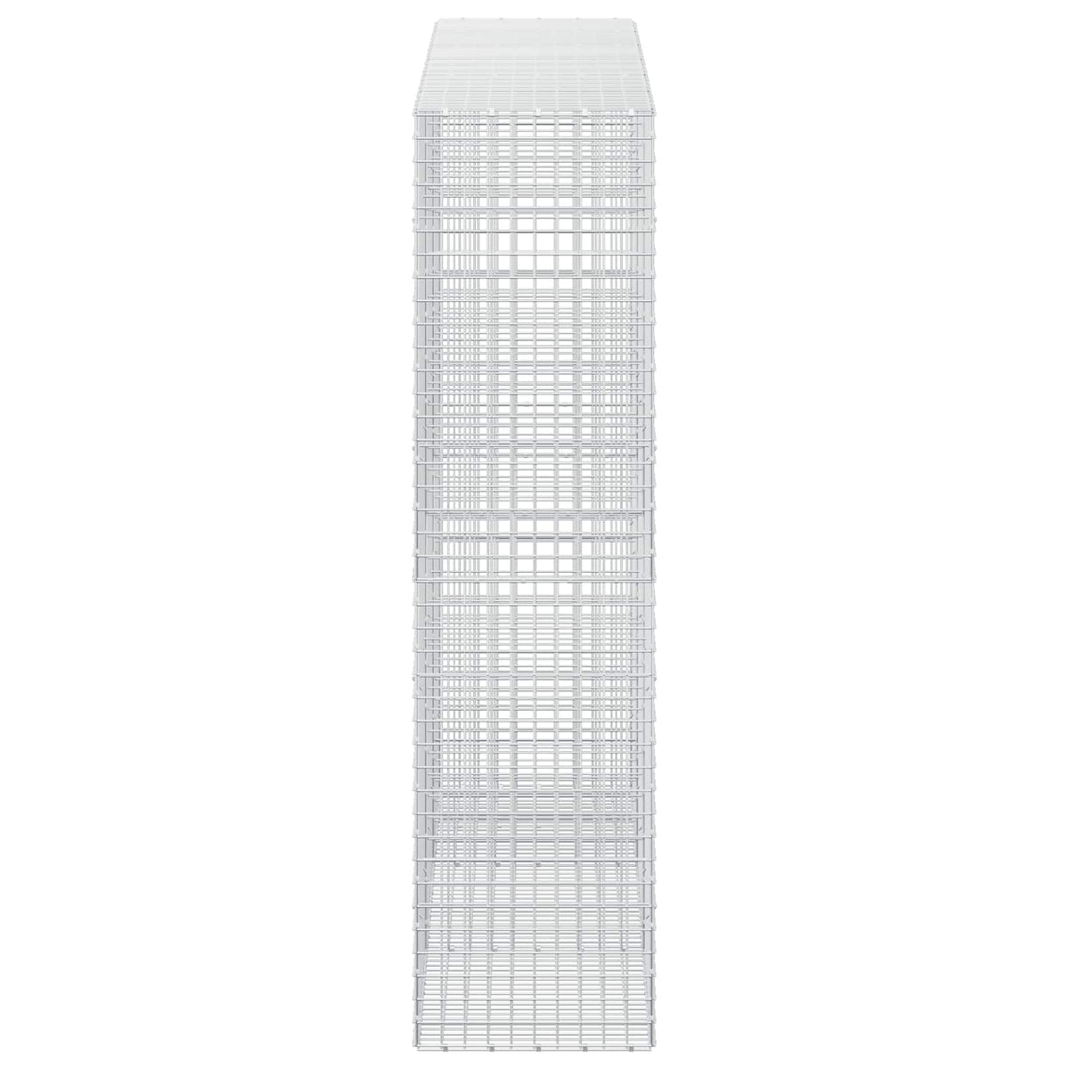 Γκαμπιόν με σύρμα 5 mm και πλέγμα 5x5 cm 300x50x200 εκ - Pakobazaar