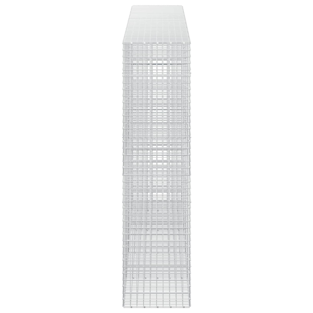 Γκαμπιόν με σύρμα 5 mm και πλέγμα 5x5 cm 450x50x200 εκ - Pakobazaar