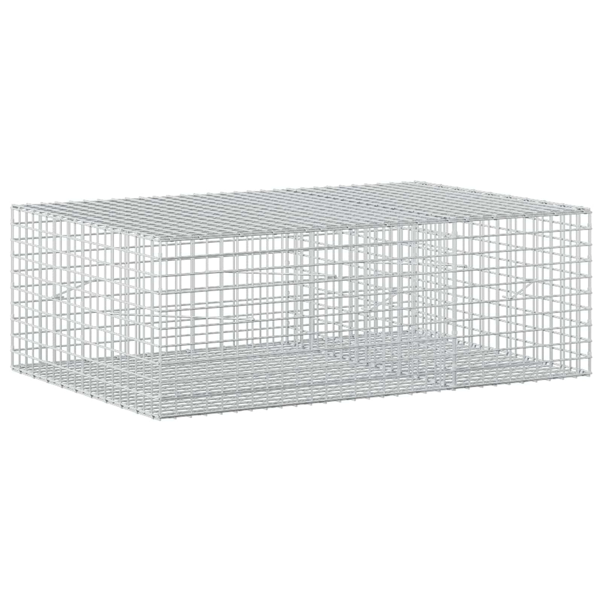 Γκαμπιόν με σύρμα 5 mm και πλέγμα 5x5 cm 150x100x50 εκ