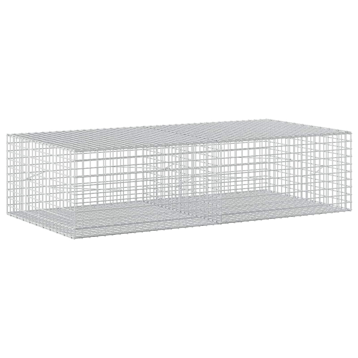 Γκαμπιόν με σύρμα 5 mm και πλέγμα 5x5 cm 200x100x50 εκ