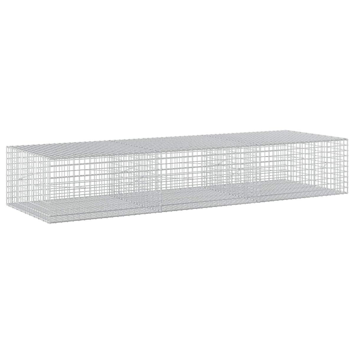 Γκαμπιόν με σύρμα 5 mm και πλέγμα 5x5 cm 300x100x50 εκ - Pakobazaar