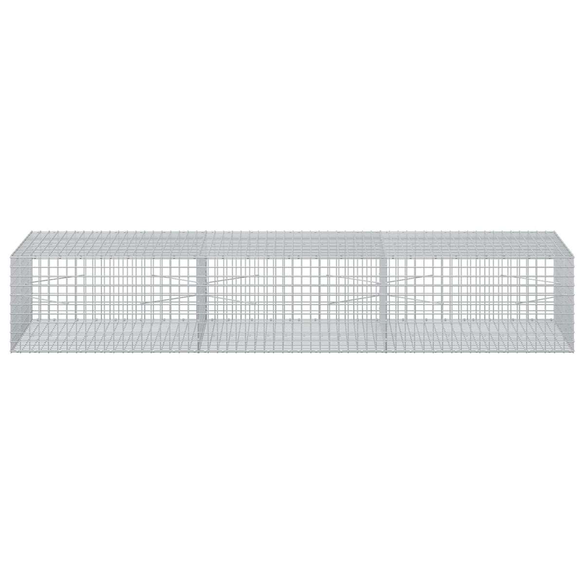 Γκαμπιόν με σύρμα 5 mm και πλέγμα 5x5 cm 300x100x50 εκ - Pakobazaar