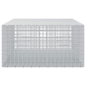 Γκαμπιόν με σύρμα 5 mm και πλέγμα 5x5 cm 300x100x50 εκ - Pakobazaar