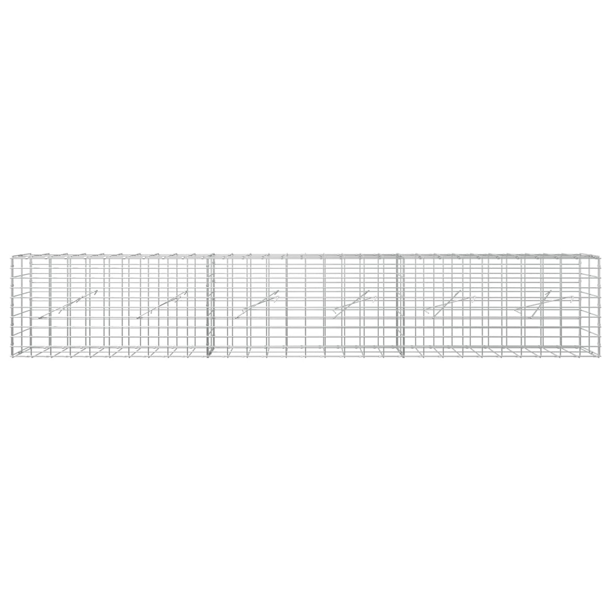 Γκαμπιόν με σύρμα 5 mm και πλέγμα 5x10 cm 300x10x50 εκ - Pakobazaar