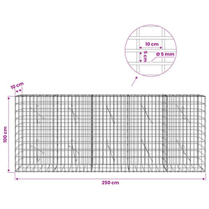 Γκαμπιόν με σύρμα 5 mm και πλέγμα 5x10 cm 250x10x100 εκ - Pakobazaar