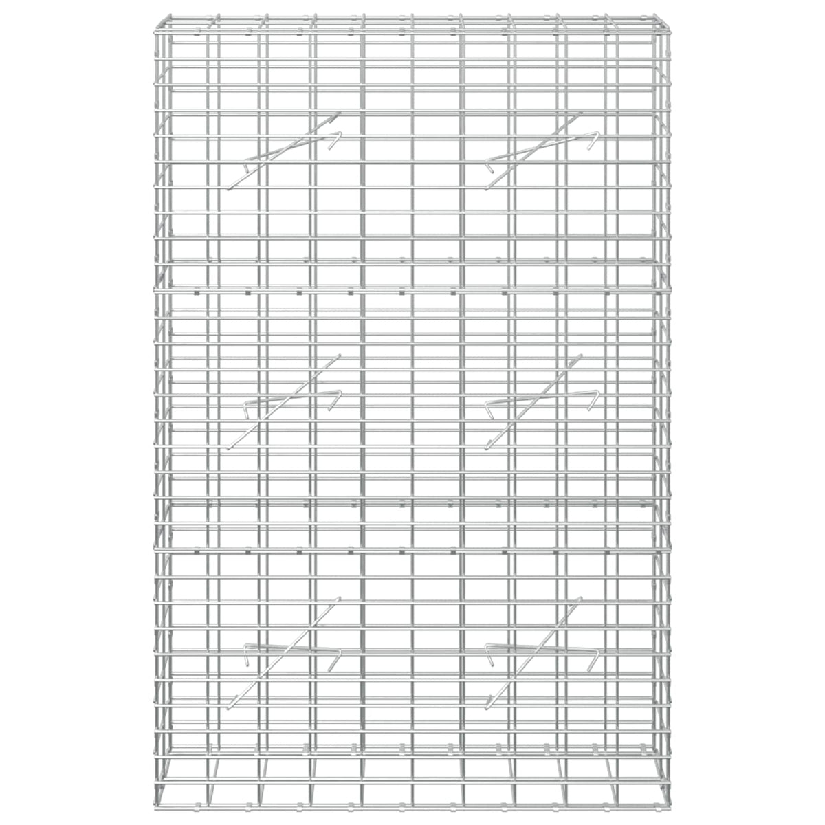 Γκαμπιόν με σύρμα 5 mm και πλέγμα 5x10 cm 100x10x150 εκ - Pakobazaar