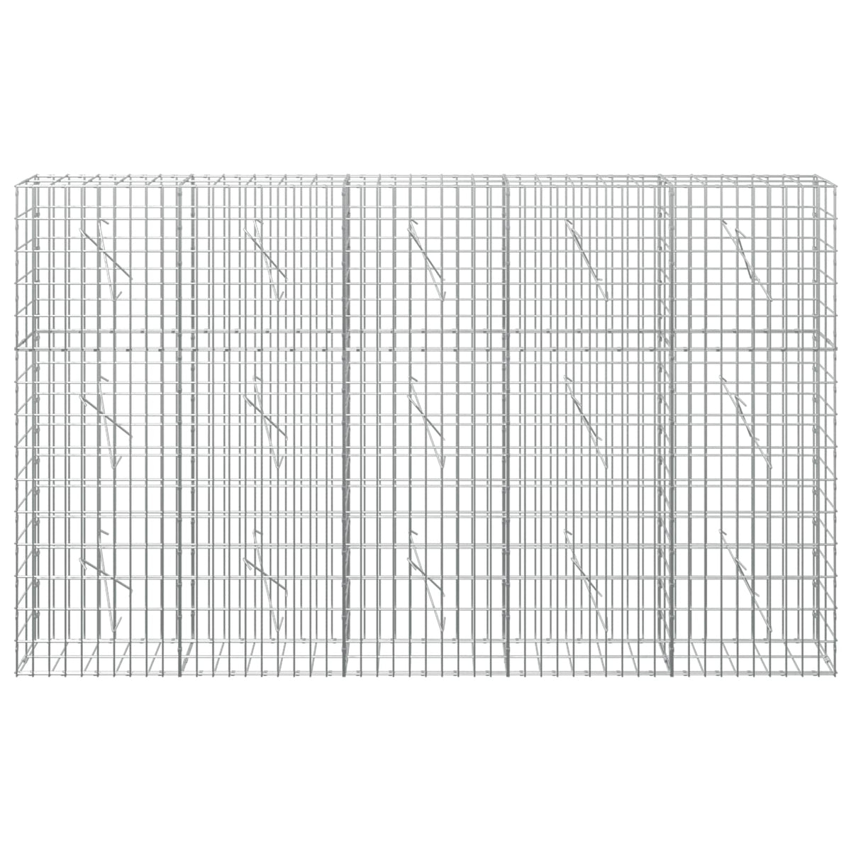 Γκαμπιόν με σύρμα 5 mm και πλέγμα 5x10 cm 250x10x150 εκ - Pakobazaar
