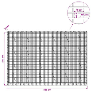 Γκαμπιόν με σύρμα 5 mm και πλέγμα 5x10 cm 300x10x200 εκ