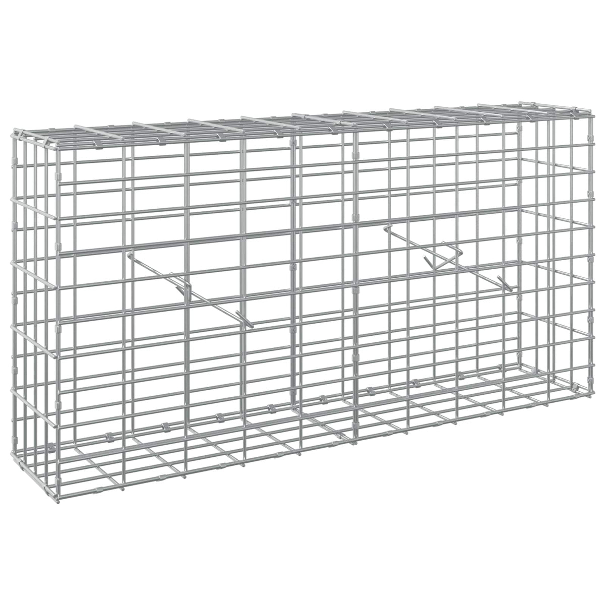 Γκαμπιόν με σύρμα 5 mm και πλέγμα 5x10 cm 100x20x50 εκ - Pakobazaar