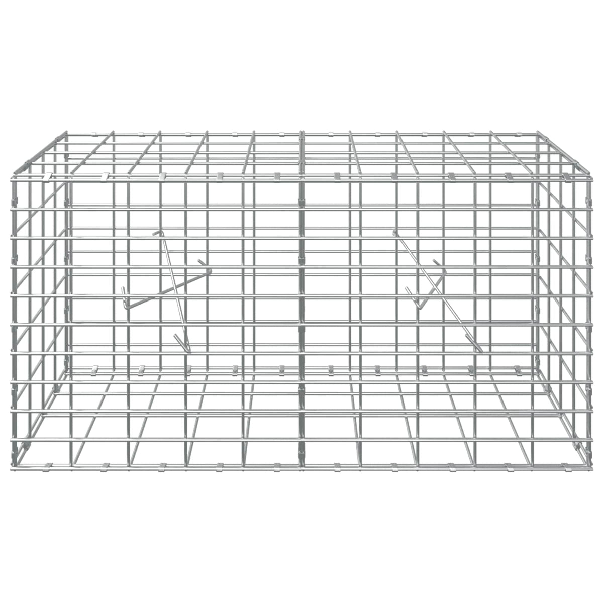 Γκαμπιόν με σύρμα 5 mm και πλέγμα 5x10 cm 100x20x50 εκ - Pakobazaar