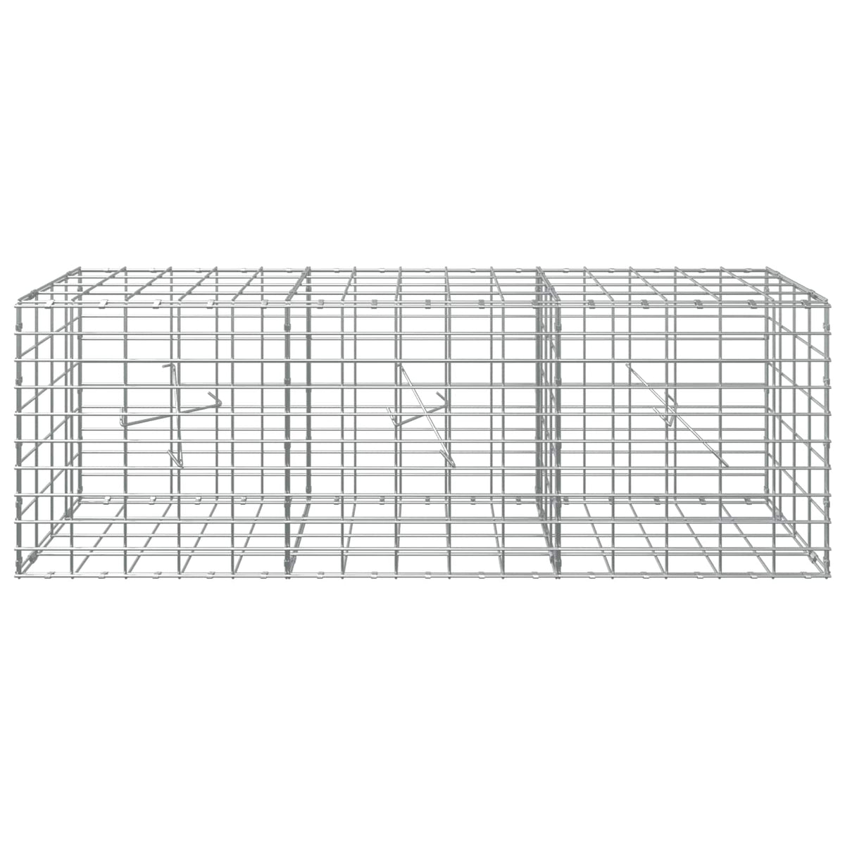 Γκαμπιόν με σύρμα 5 mm και πλέγμα 5x10 cm 150x20x50 εκ - Pakobazaar