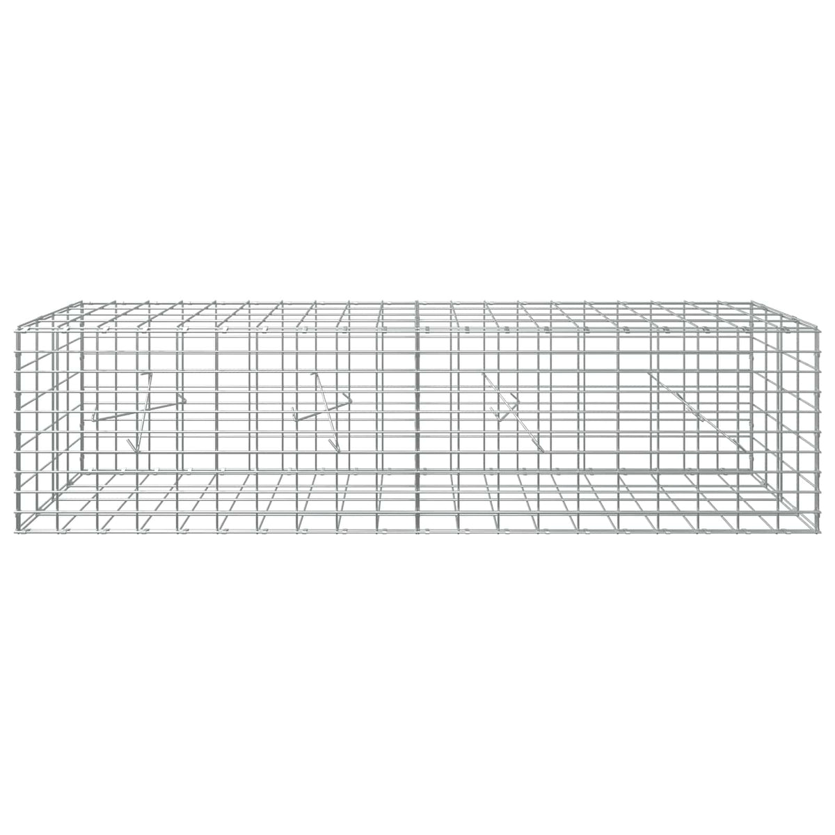 Γκαμπιόν με σύρμα 5 mm και πλέγμα 5x10 cm 200x20x50 εκ