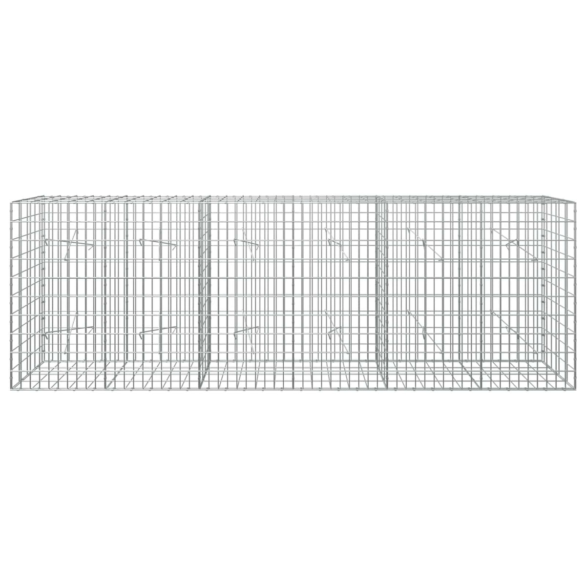Γκαμπιόν με σύρμα 5 mm και πλέγμα 5x10 cm 300x20x100 εκ - Pakobazaar
