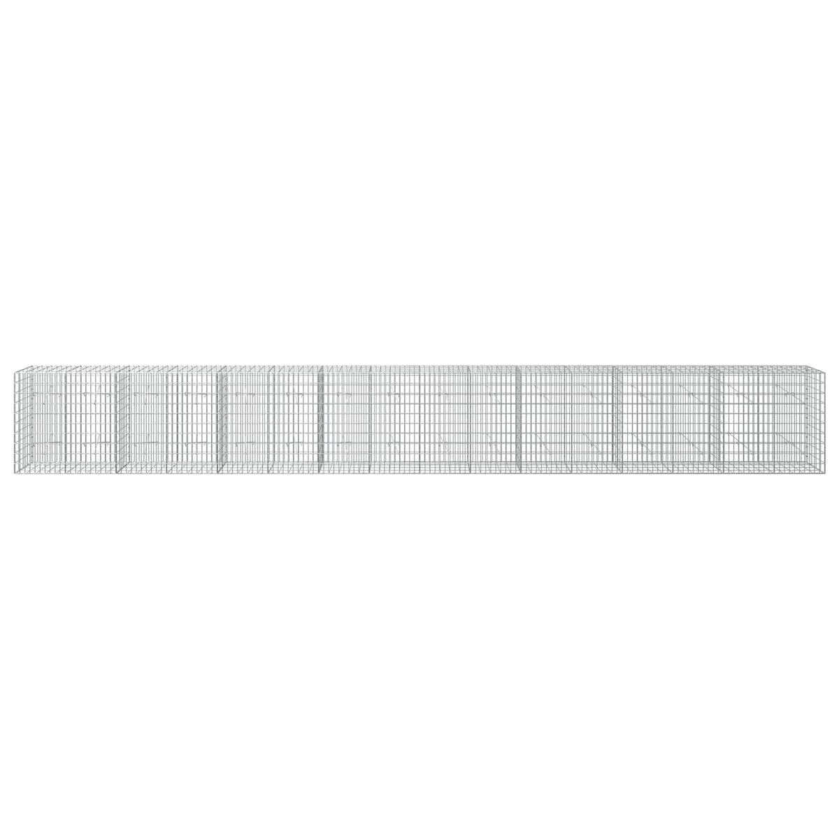 Γκαμπιόν με σύρμα 5 mm και πλέγμα 5x10 cm 800x20x100 εκ - Pakobazaar