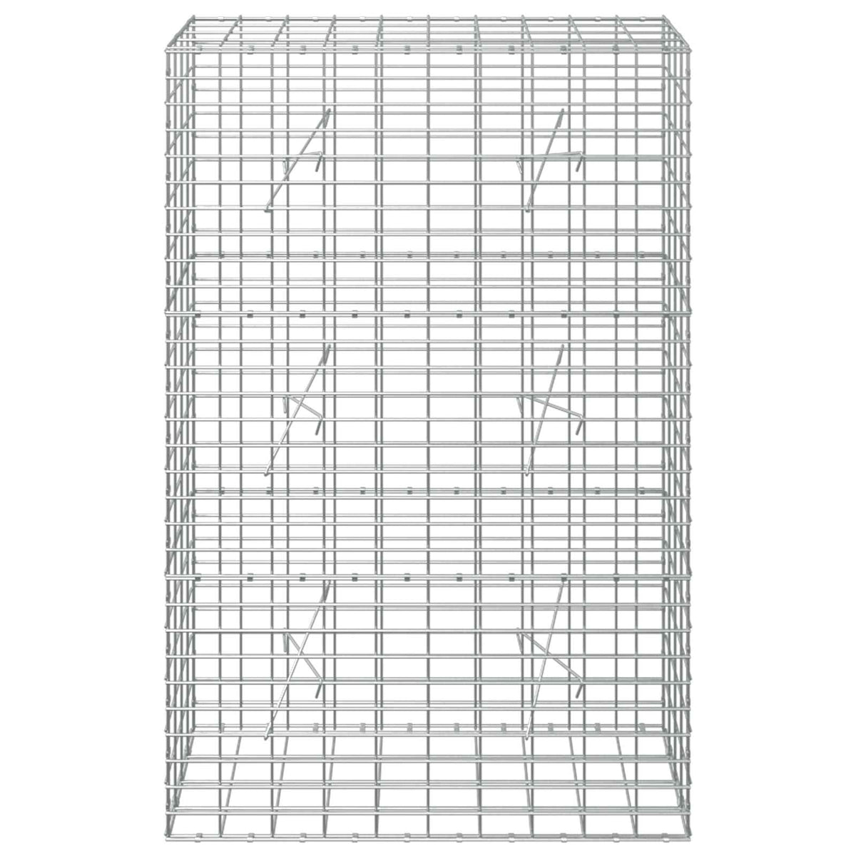 Γκαμπιόν με σύρμα 5 mm και πλέγμα 5x10 cm 100x20x150 εκ - Pakobazaar