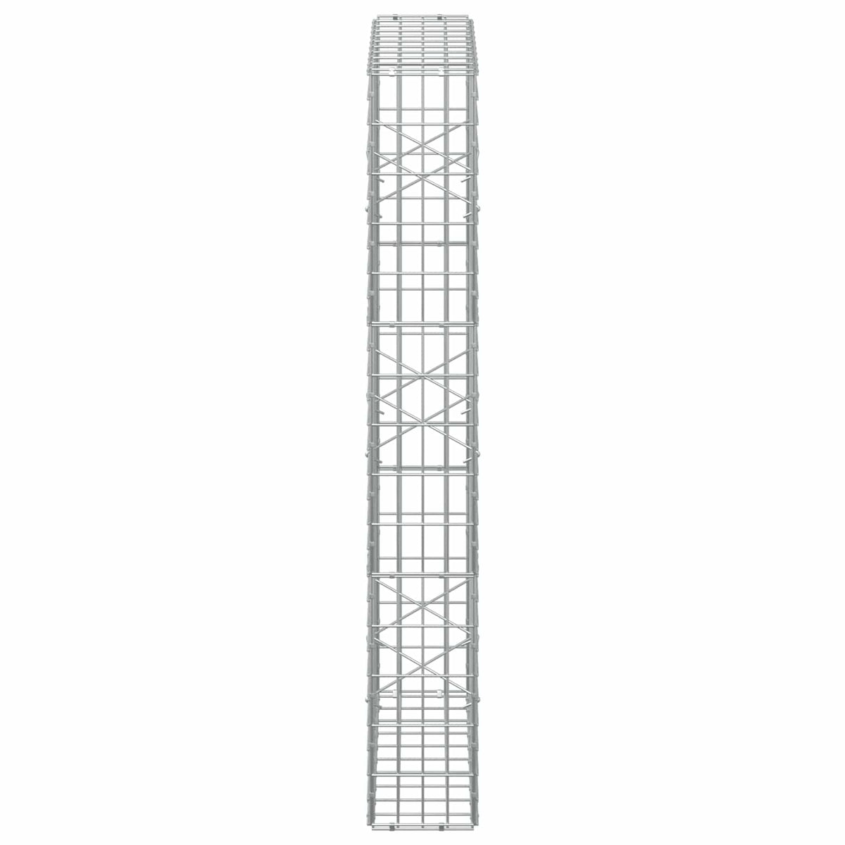 Γκαμπιόν με σύρμα 5 mm και πλέγμα 5x10 cm 100x20x150 εκ - Pakobazaar