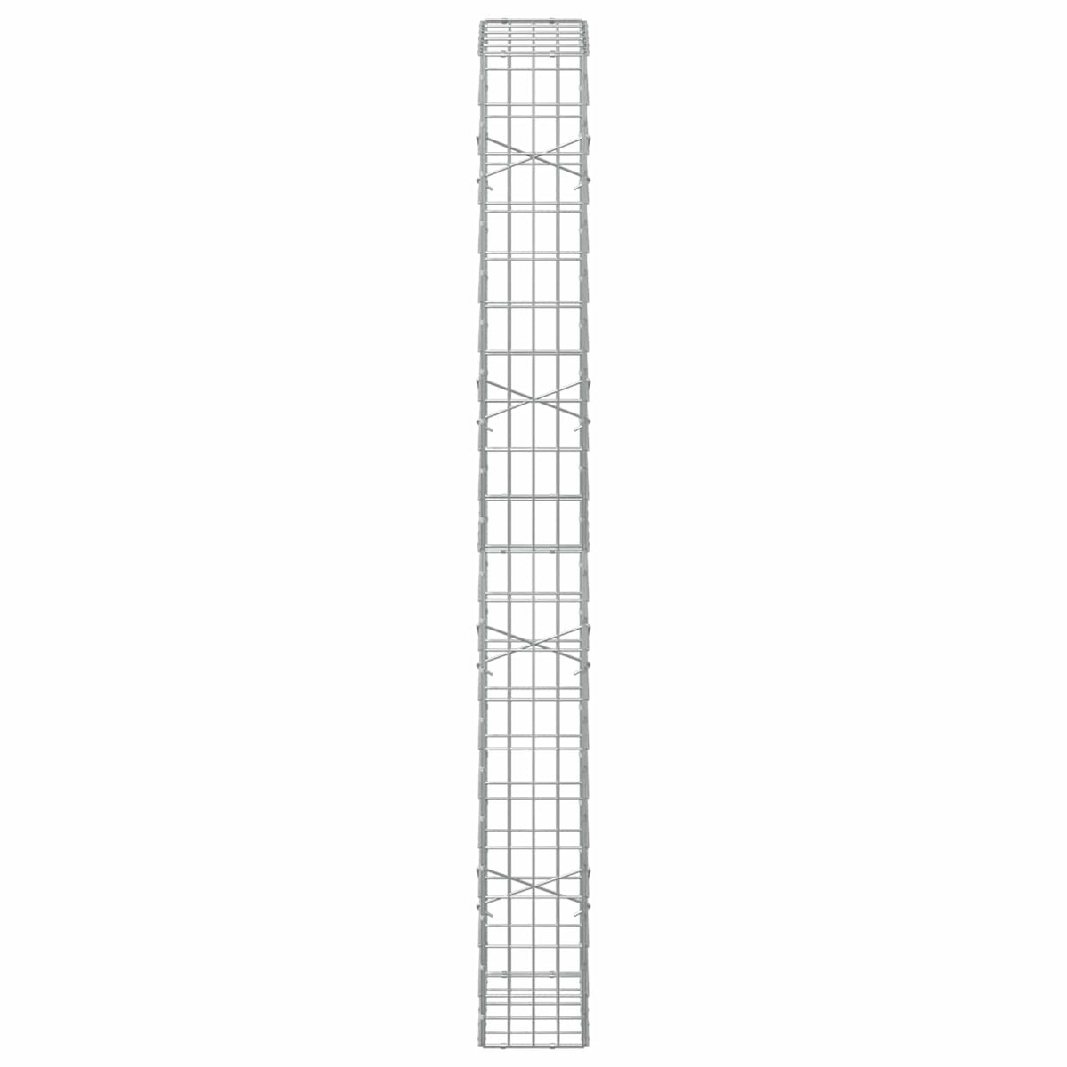 Γκαμπιόν με σύρμα 5 mm και πλέγμα 5x10 cm 50x20x200 εκ