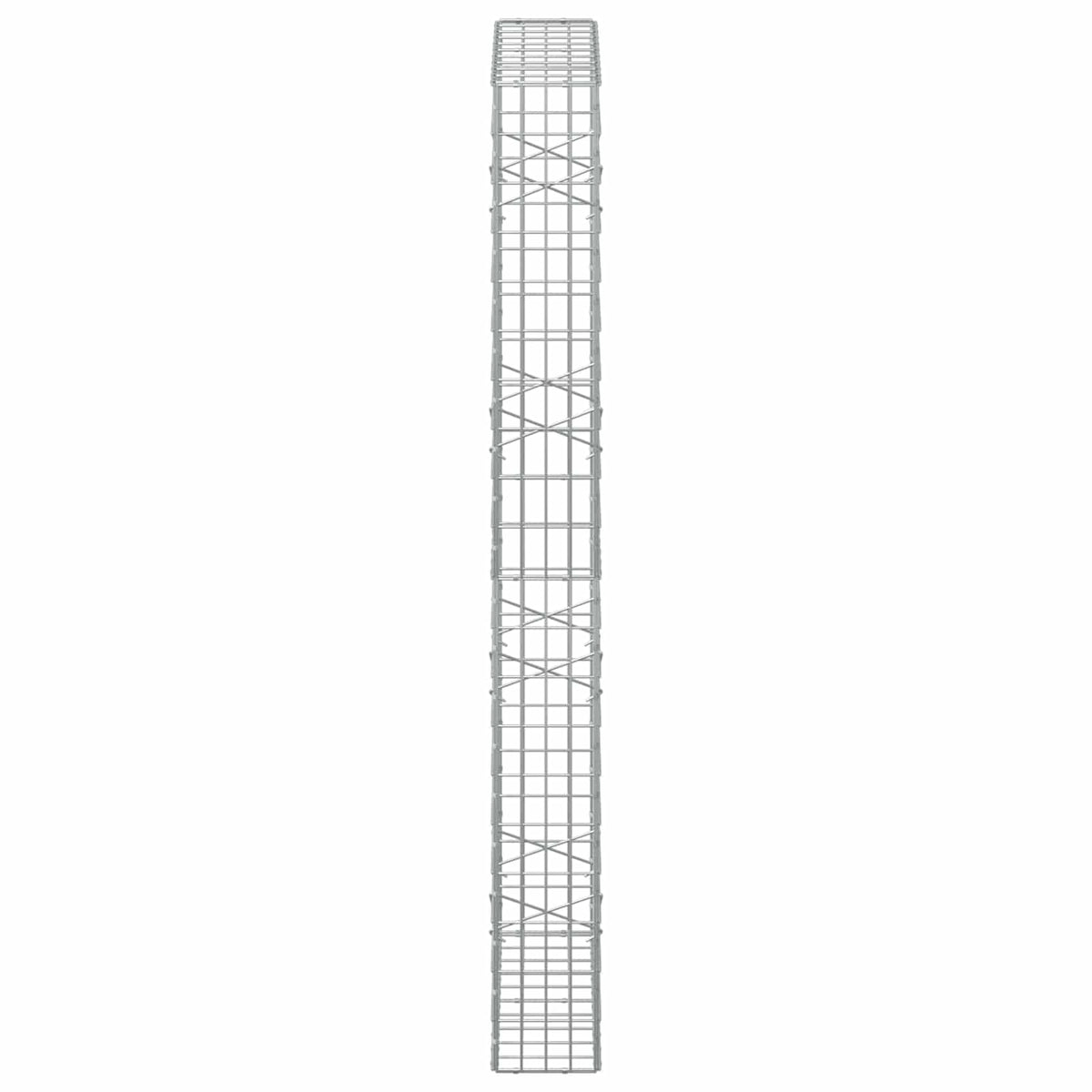 Γκαμπιόν με σύρμα 5 mm και πλέγμα 5x10 cm 100x20x200 εκ - Pakobazaar