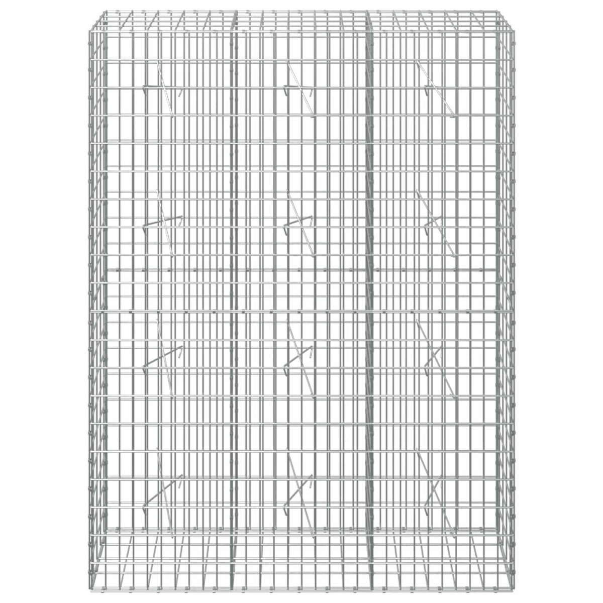 Γκαμπιόν με σύρμα 5 mm και πλέγμα 5x10 cm 150x20x200 εκ - Pakobazaar