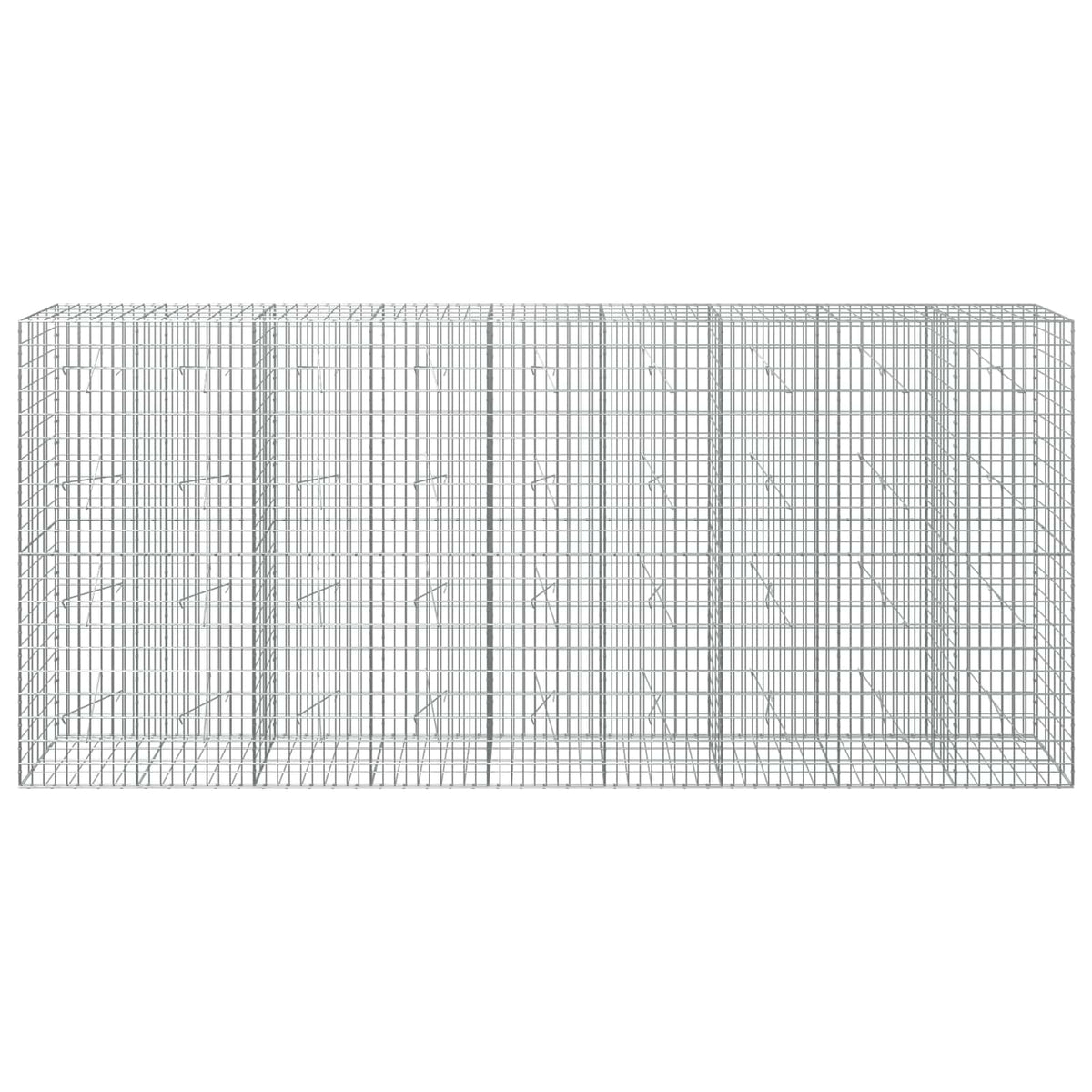 Γκαμπιόν με σύρμα 5 mm και πλέγμα 5x10 cm 450x20x200 εκ - Pakobazaar