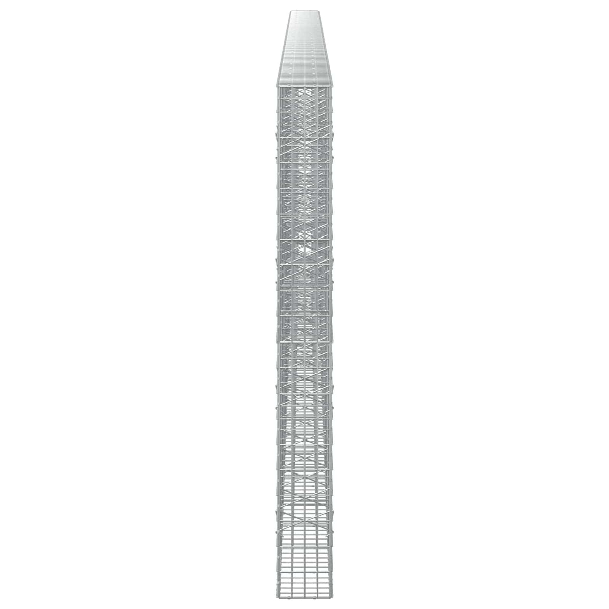 Γκαμπιόν με σύρμα 5 mm και πλέγμα 5x10 cm 1200x20x200 εκ